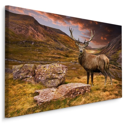 Quadri tela canvas xxl - tela,