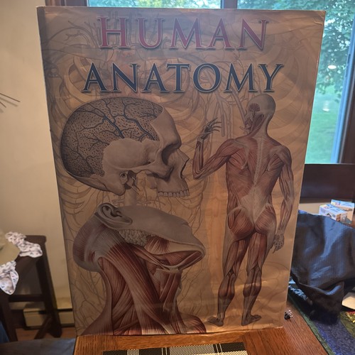 Human anatomy taj - human,
