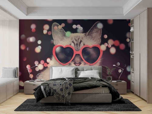 Animali gatto occhiali - 3d,
