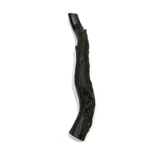 Raro ramo corallo nero - g,