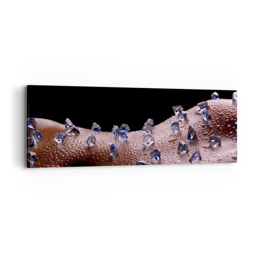 Quadro tela 90x30cm corpo - quadro,