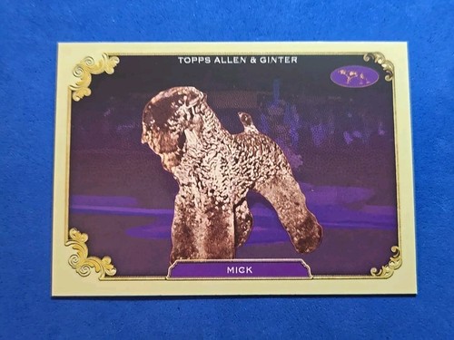 2024 mick topps allen ginter - 2024,