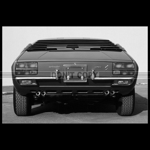 Photo 036447 lamborghini - photo,