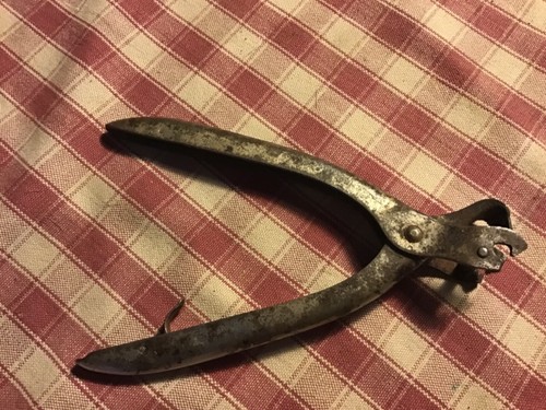 Curiose vecchie pinze acquista - curiose,