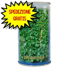 SGARAVATTI DICHONDRA REPENS 50% BARATTOLO 1 LIBRE 453 G