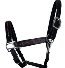 Collare imbottito per cavalli