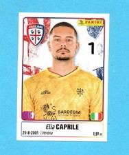 PANINI CALCIATORI 2025-2026