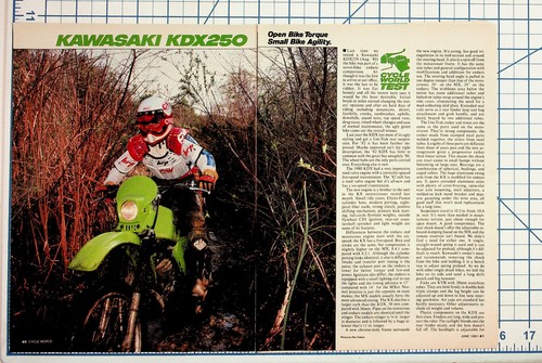 Kawasaki kdx250 1982 cycle - kdx250,