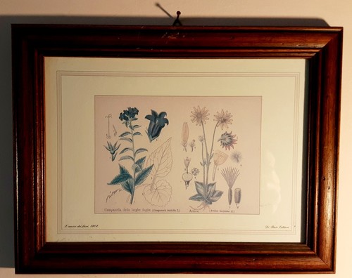 Stampa provenzale vintage - stampa, ~