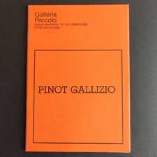 Pinot Gallizio, Galleria