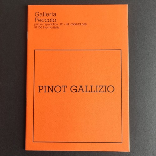 Pinot gallizio galleria - pinot,