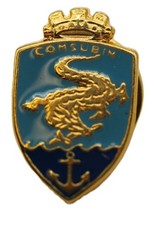 distintivo spilla pins