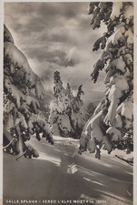 CARTOLINA  VALLE SPLUGA