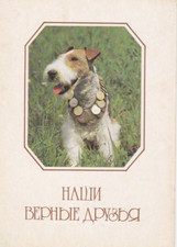 Cartolina Fox Terrier ***