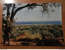 20102) REGGIO CALABRIA SIDERNO PANORAMA VIAGGIATA