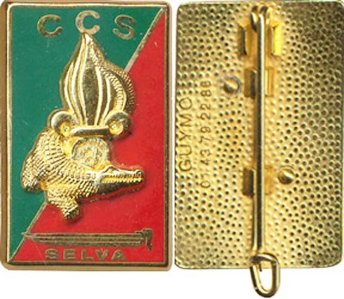 C s selva type - 3°,