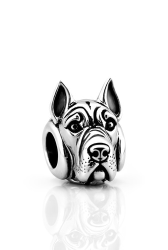 Charm cane corso canna per - cane,