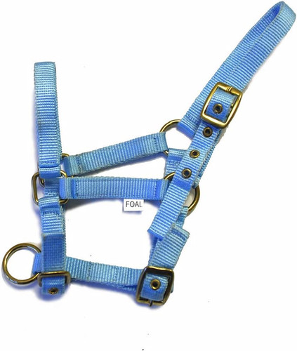 Colletto in nylon - -,