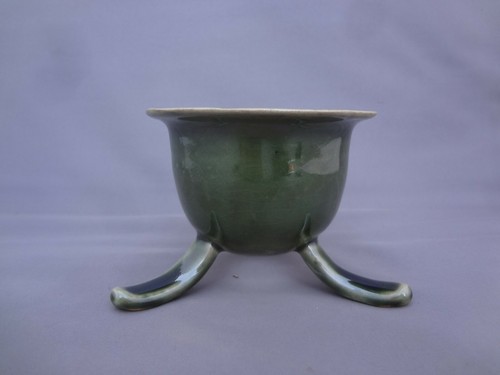 Issei orchidea giapponese - 'issei',