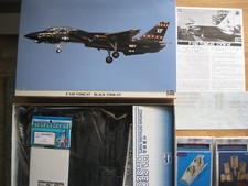 HASEGAWA 09867 F-14D 'Black