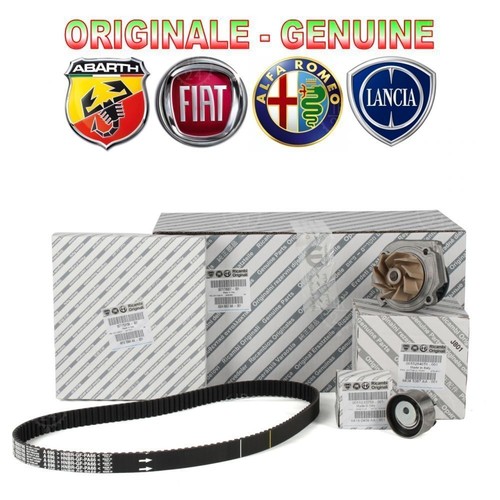 Kit distribuzione pompa - kit,