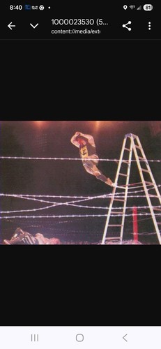Wrestling superstars cactus - wrestling,
