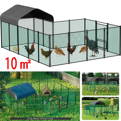 13x11ft walk coop pollo - walk,