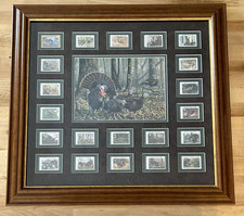 FEDERAZIONE NAZIONALE TURCHIA