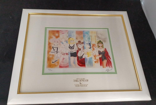 Abito sailor moon - abito, litografia