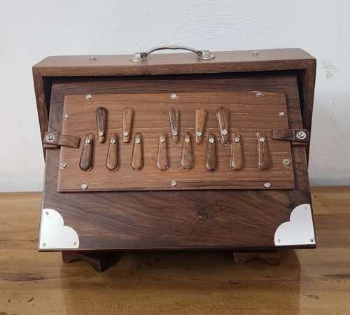 Shruti box premium artigianale - premium,