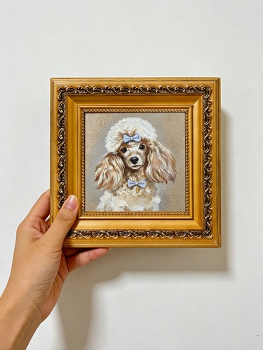 Carino barboncino cane con - barboncino,