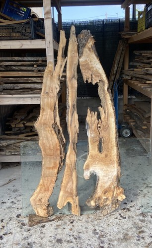 Tavole legno ulivo 3pezzi - di,