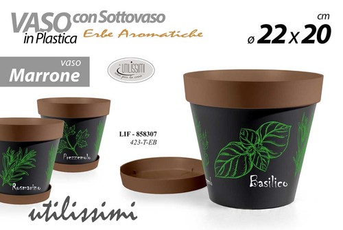 Vaso piante semi - piante,