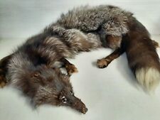 Stola collo di volpe argentata