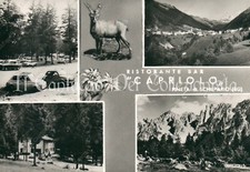 1974 SCHILPARIO Pineta