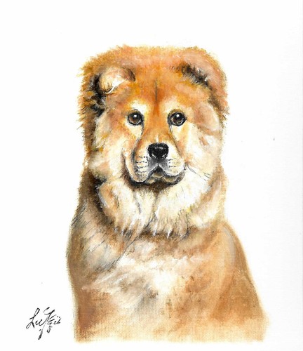 Dipinto ritratto cane olio - ✤,