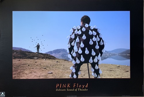 Poster pink floyd delicato - poster,