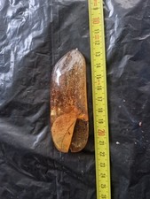 Ambra Copale Con Mega Foglia  