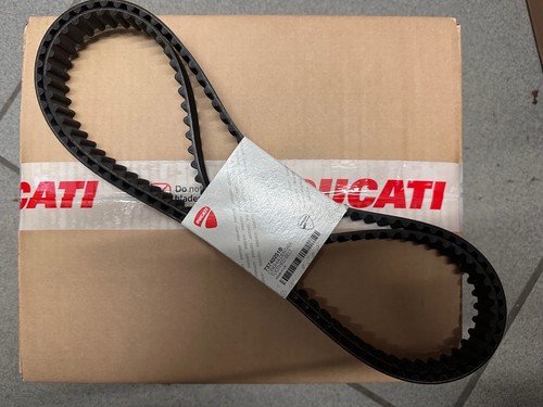 Cinghie distribuzione ducati - cinghie,