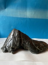 Pietra naturale suiseki Palombino appenino Ligure bonsai peso  kg4.bonsai italia