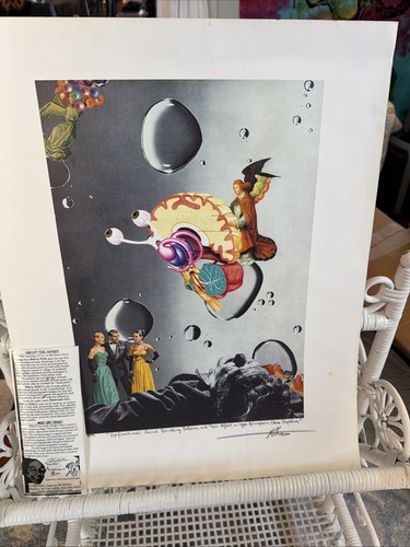 Barry kite litografia - kite,