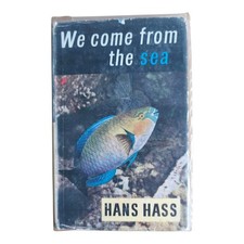 We Come From The Sea by Hans