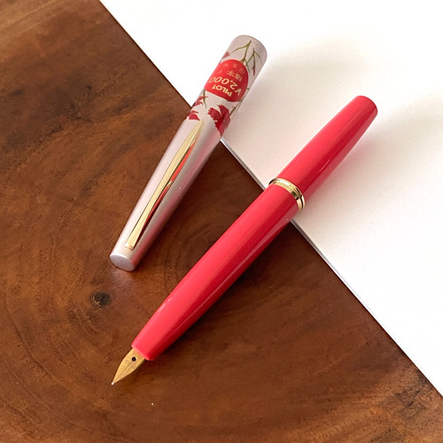 Penna stilografica tascabile