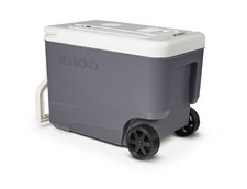 Igloo 35 QT Rolling versatemp