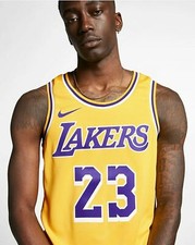 Nike Lakers NBA LeBron James