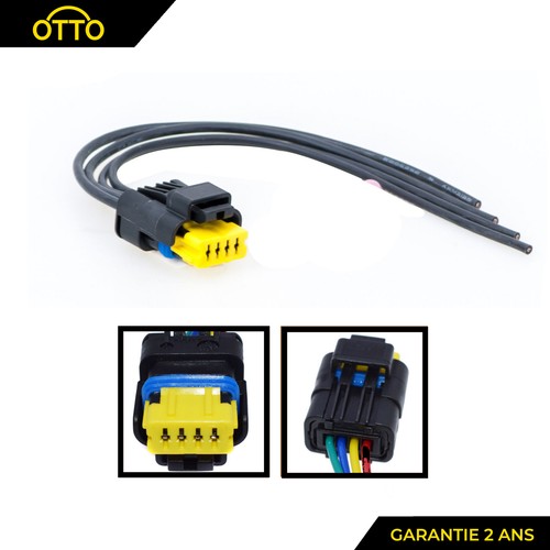 Connettore spina con - spina, fascio