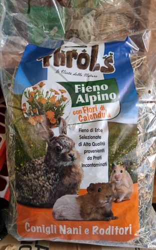 Fieno per conigli nani - per,