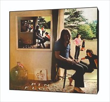 Pink floyd ummagumma - pink,