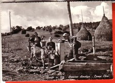 CARTOLINA ENEGO B/N NON VIAGGIATA CAMPI ELISI ABBEVATOIO  BUOI ANIMATA BELAL