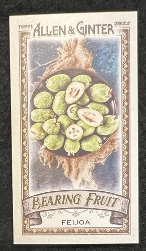 2022 topps allen ginter - allen, &